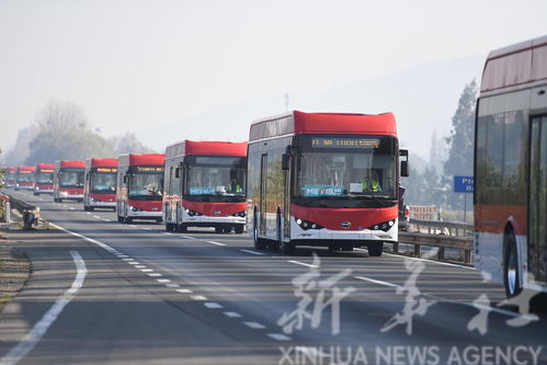 给地球系上“绿丝带” 以科技赋能“绿色一带一路”，共赴可持续发展未来
